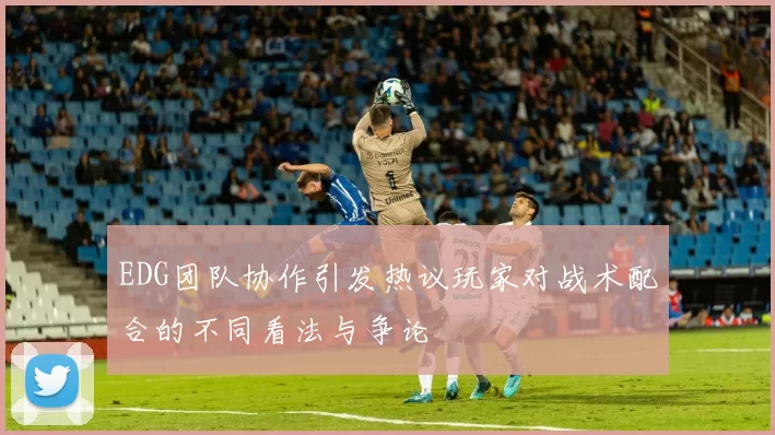 EDG团队协作引发热议玩家对战术配合的不同看法与争论
