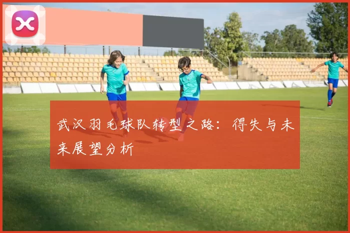 武汉羽毛球队转型之路：得失与未来展望分析