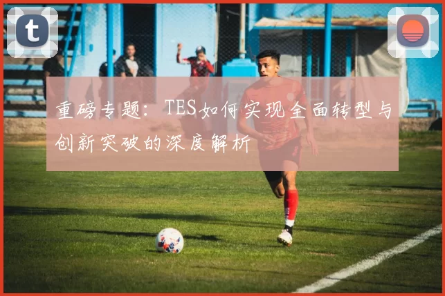 重磅专题：TES如何实现全面转型与创新突破的深度解析