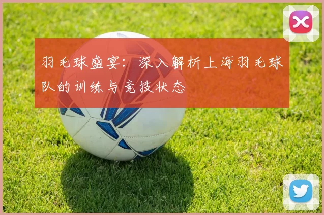 羽毛球盛宴：深入解析上海羽毛球队的训练与竞技状态