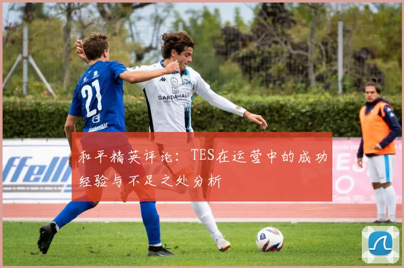 和平精英评论：TES在运营中的成功经验与不足之处分析
