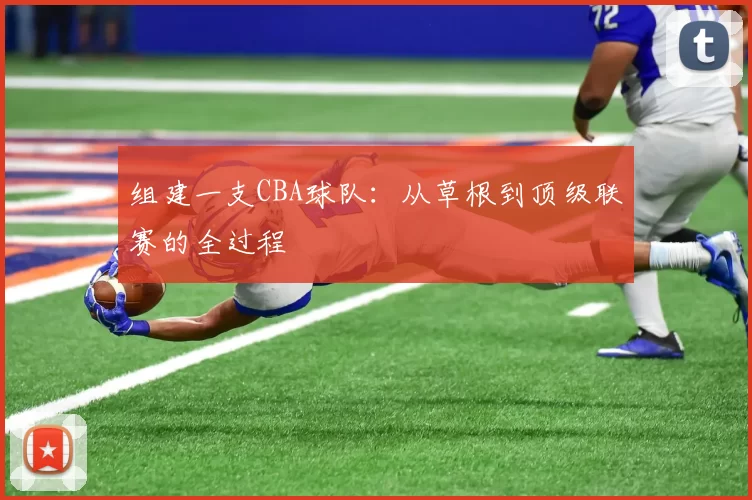 组建一支CBA球队：从草根到顶级联赛的全过程